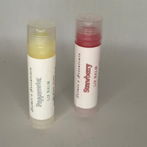 The Solid Lip Gloss Stick